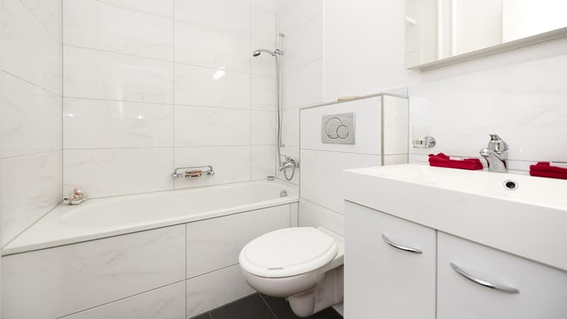 3 ZIMMER WOHNUNG IM RUHIGEN UND IDYLLISCHEN RORSCHACHERBERG (4)