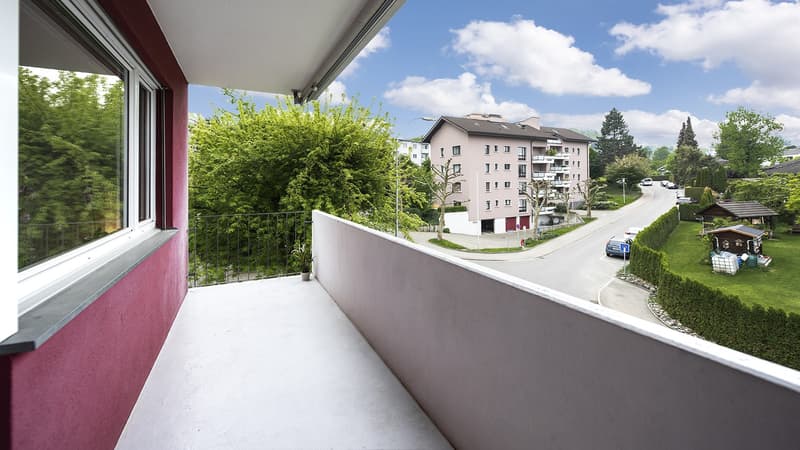 3 ZIMMER WOHNUNG IM RUHIGEN UND IDYLLISCHEN RORSCHACHERBERG (6)