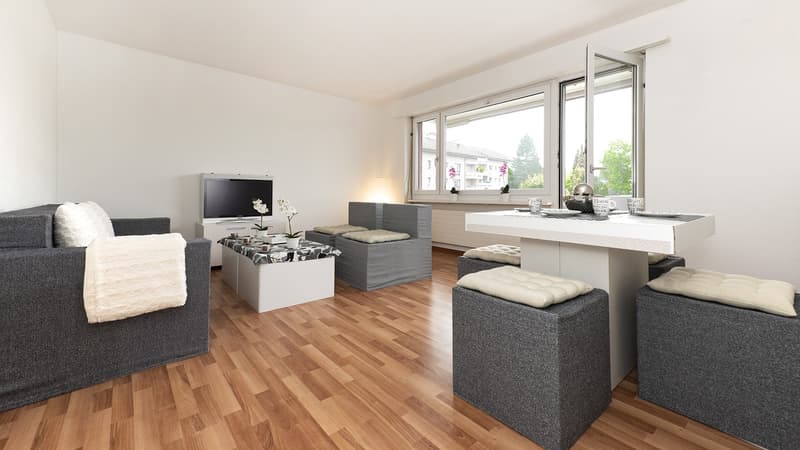 3 ZIMMER WOHNUNG IM RUHIGEN UND IDYLLISCHEN RORSCHACHERBERG (2)