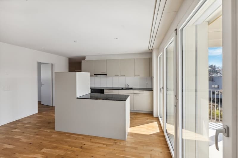Einzigartige Maisonette Wohnung mit toller Aussicht (5)