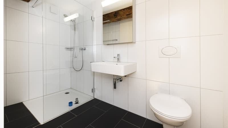 WUNDERSCHÖNE WOHNUNG MIT TERRASSE AN TOP-LAGE! (10)
