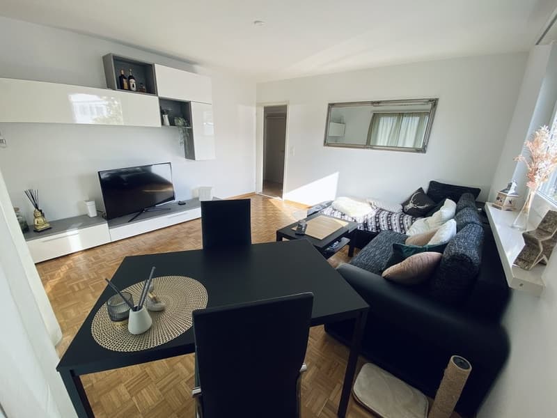 IHR NEUES ZUHAUSE AN PERFEKTER LAGE IN HINWIL (2)