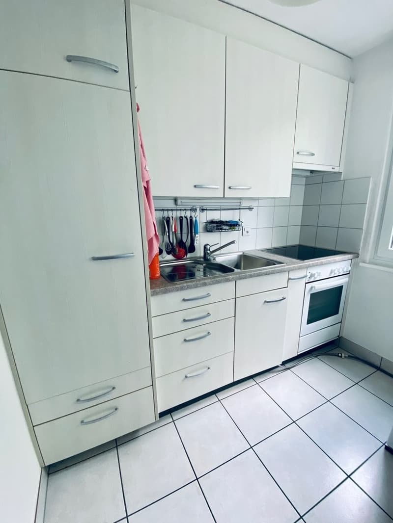 IHR NEUES ZUHAUSE AN PERFEKTER LAGE IN HINWIL (6)