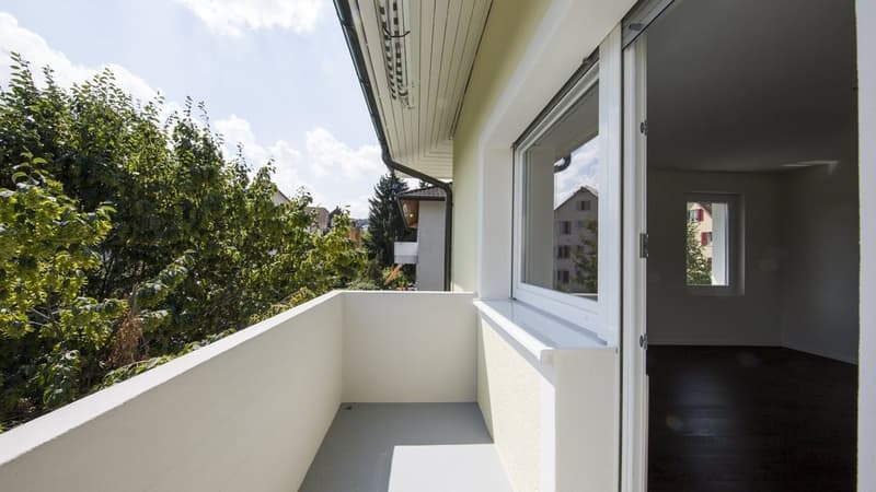 BEGEHRTE CITY-WOHNUNG IN ZH-ALTSTETTEN - SMART, MODERN UND NEU SANIERT (3)