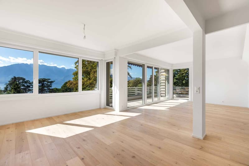 Spacieux appartement rénové avec jardin (8)