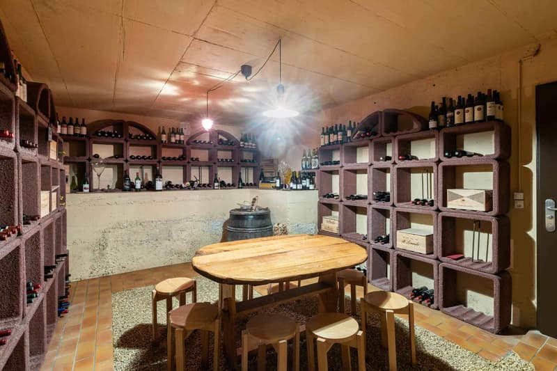 Carnotzet et cave à vin privatifs
