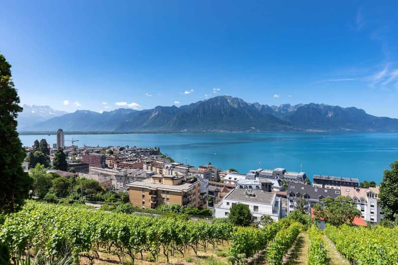 Immeuble PPE de 4 lots à Montreux avec vue exceptionnelle (6)
