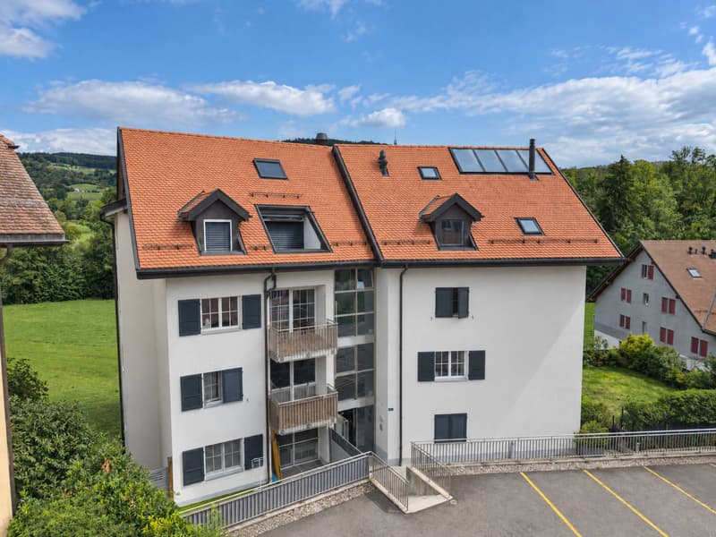 4.5 pièces avec deux balcons - PPE de 8 lots (1)