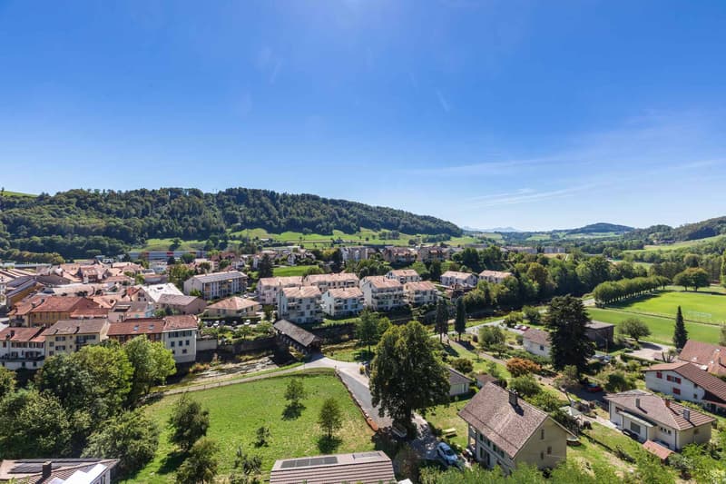 En exclusivité - Maison de maître d'exception entièrement rénovée (8)