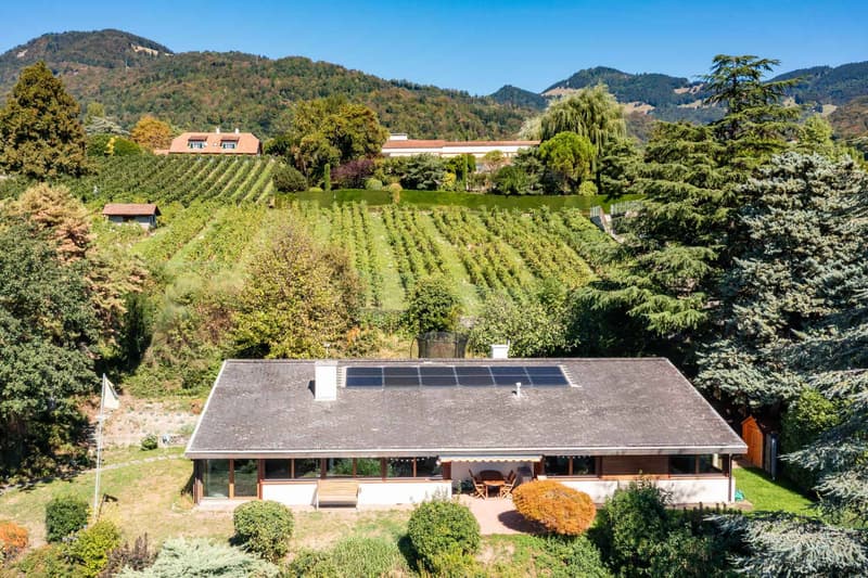 Villa familiale de plain-pied avec vue panoramique sur le Léman (2)