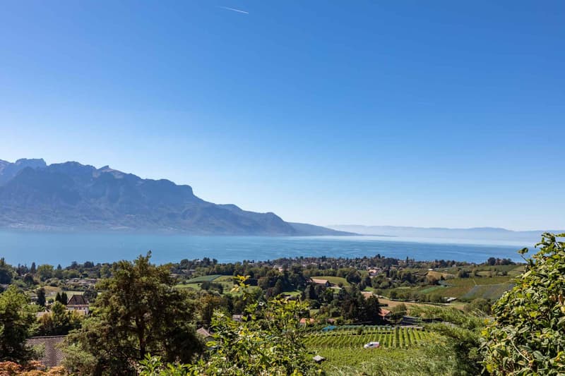 Villa familiale de plain-pied avec vue panoramique sur le Léman (1)