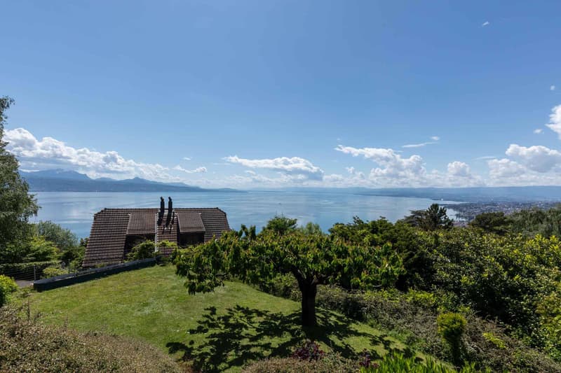 Vue depuis la terrasse