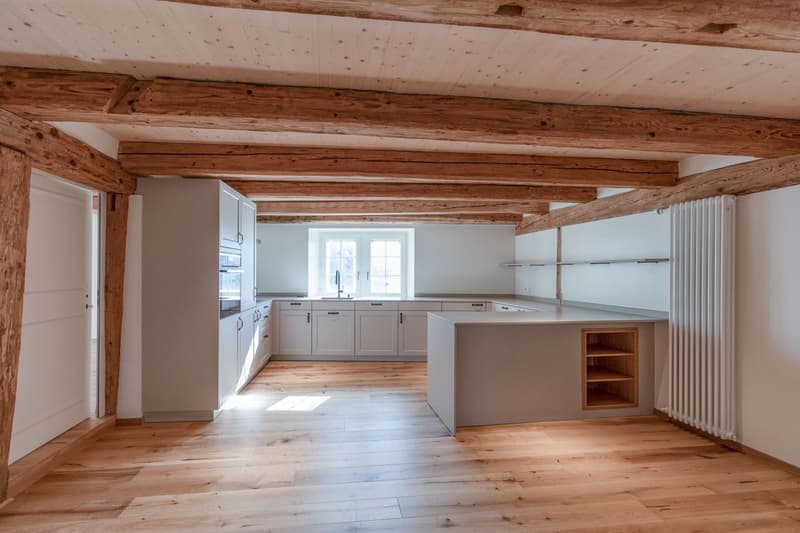 Modernes Wohnen mit historischem Charme an traumhafter Lage (1)