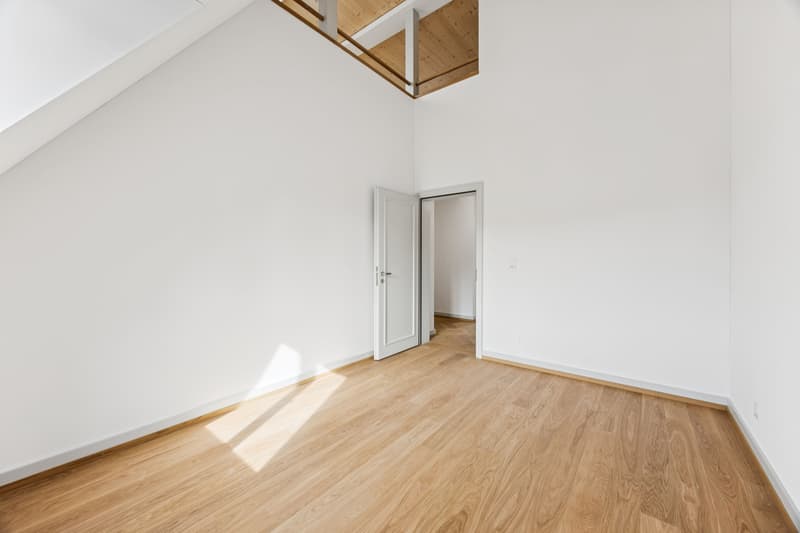 Exklusive Maisonette-Dachwohnung mit einmaliger Dachterrasse (4)