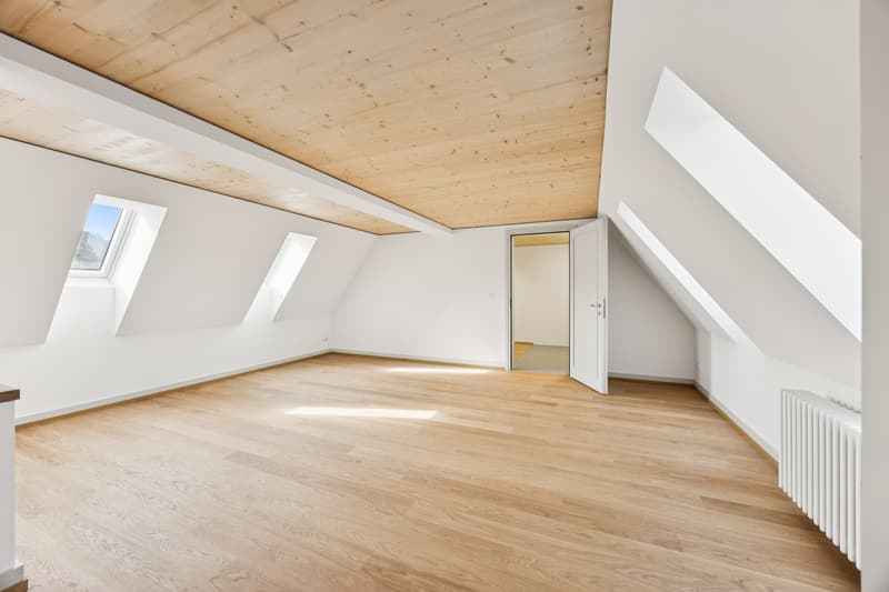 Exklusive Maisonette-Dachwohnung mit einmaliger Dachterrasse (3)