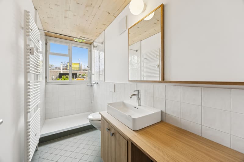 Exklusive Maisonette-Dachwohnung mit einmaliger Dachterrasse (6)