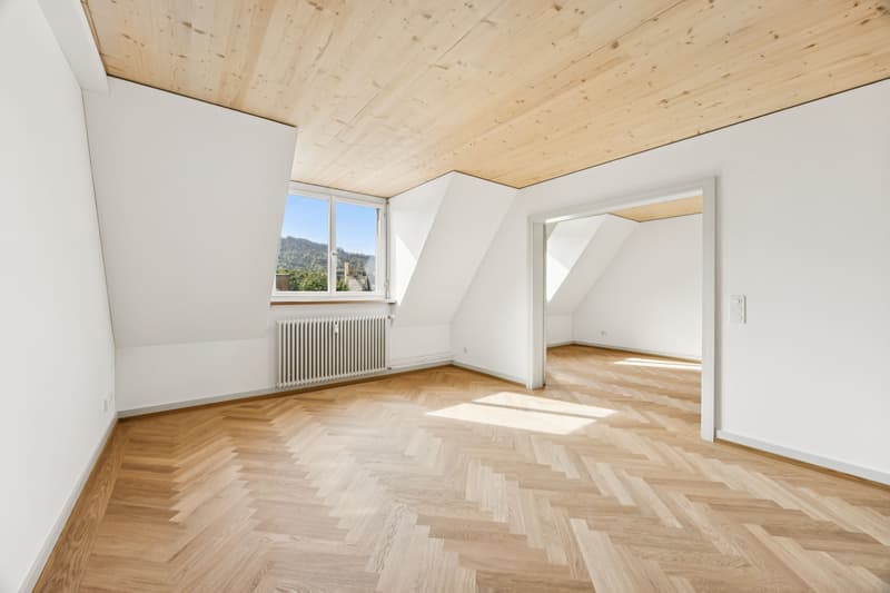Exklusive Maisonette-Dachwohnung mit einmaliger Dachterrasse (2)