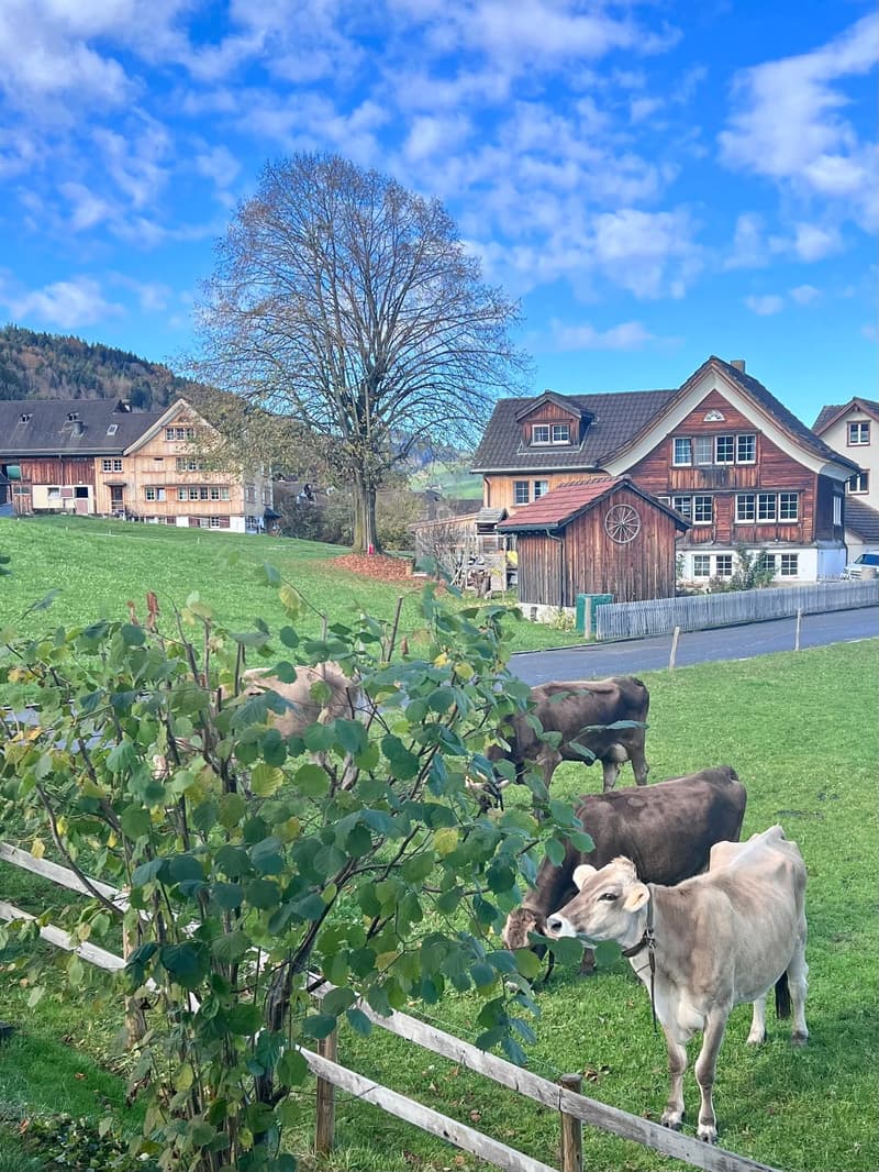 AUSSERGEWÖHNLICHES ZUHAUSE IN EINER LAGE, WIE ES SIE HEUTE KAUM NOCH GIBT (12)