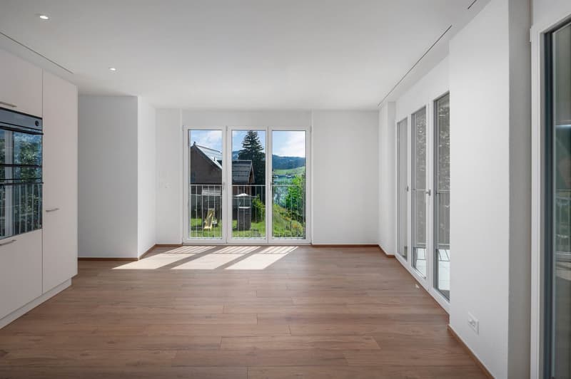 Modernes Neubau-Einfamilienhaus mit hochwertigem Innenausbau (9)