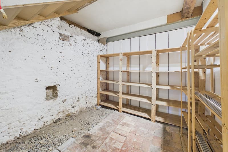 6.5 Zimmer Maisonette mit Seesicht, grosser Terasse und Garten (4)