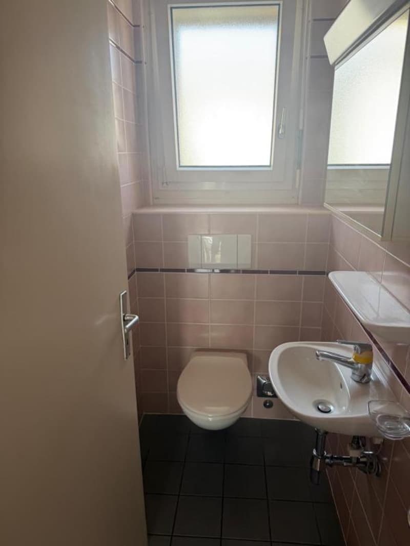 Co-location à Lausanne (1005) (6)