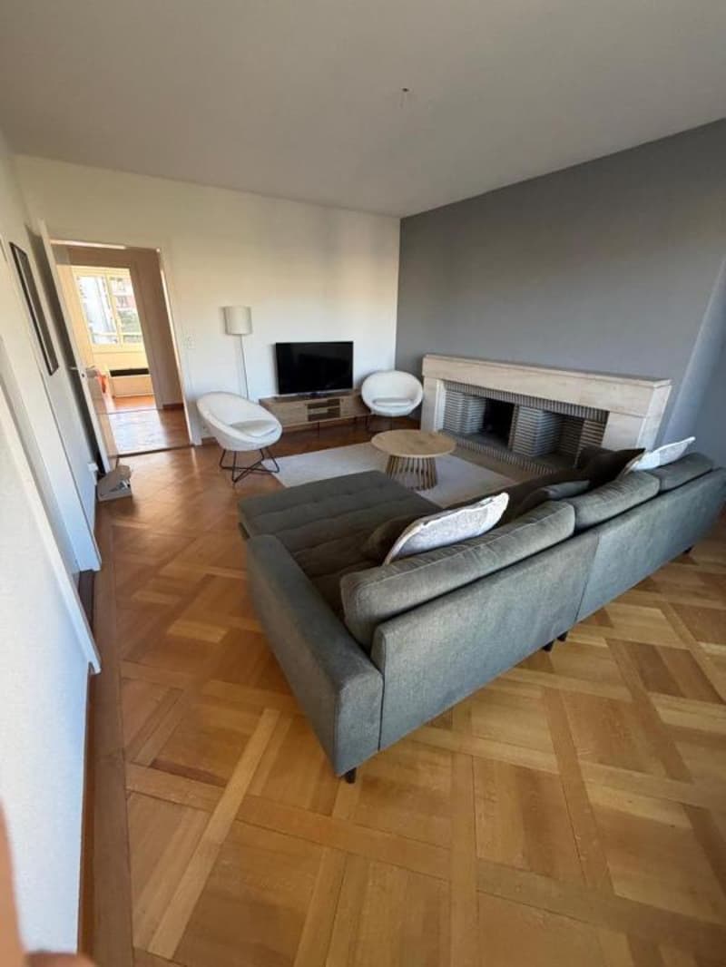Co-location à Lausanne (1005) (3)