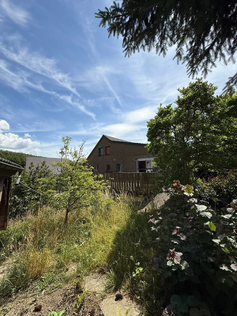 4.5-Zimmer-Haus mit Garten und Terrasse in Kestenholz kaufen (1)