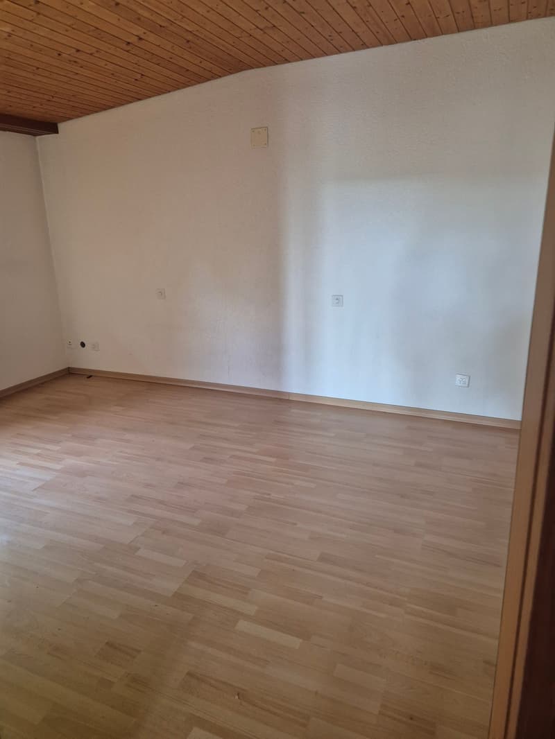 Mehrfamilienhaus mit 4 Einheiten in Kestenholz kaufen (12)