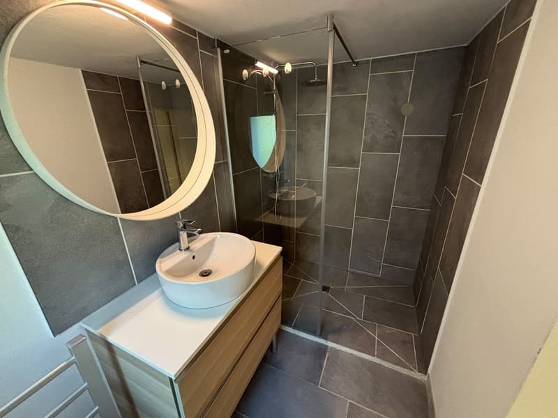 Charmant appartement de 2.5 pièces à Henniez (7)