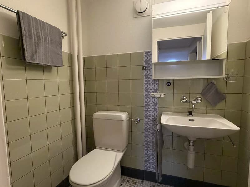 Möblierte 2-Zimmer-Wohnung mit Blick ins Grüne in Unteriberg (5)