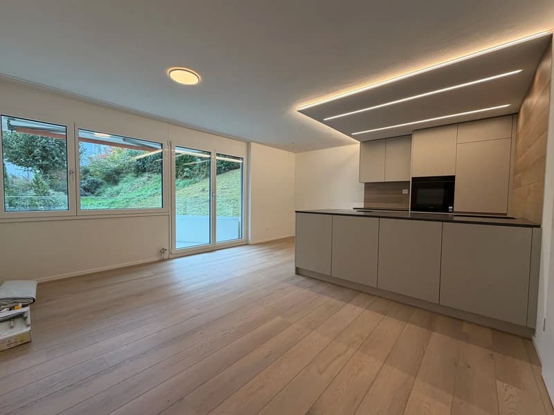 2-Zimmer-Wohnung in Feusisberg kaufen - totalsaniert mit grosser Kochinsel (7)