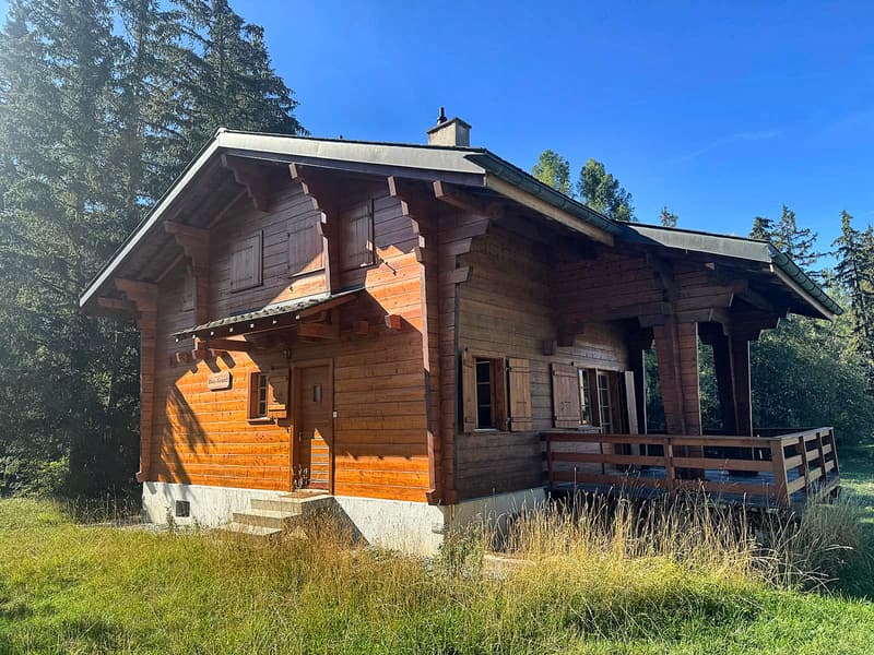 Chalet à fort potentiel - 7,5 pièces - Crans-Montana (4)