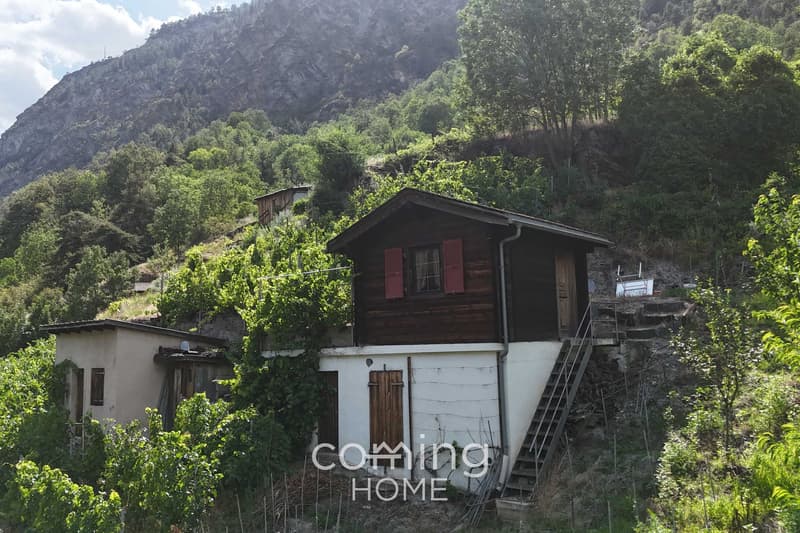 Rebparzelle mit Rebhaus in Stalden - Weinbau im Vispertal (6)