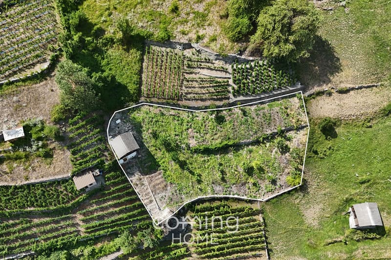 Rebparzelle mit Rebhaus in Stalden - Weinbau im Vispertal (1)