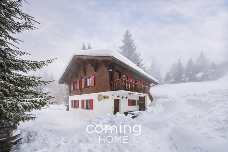 Traumhaftes Chalet mit Weitblick, 2 Wohnungen & Baulandreserve in Bürchen (1)