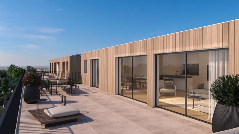Erstbezug im November 2026: 4.5-Zi-Penthouse mit 79 m² Sonnenterrasse (5)