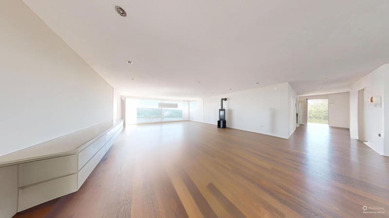 On Top of Wettswil – 252 m² Panorama-Residenz (11)