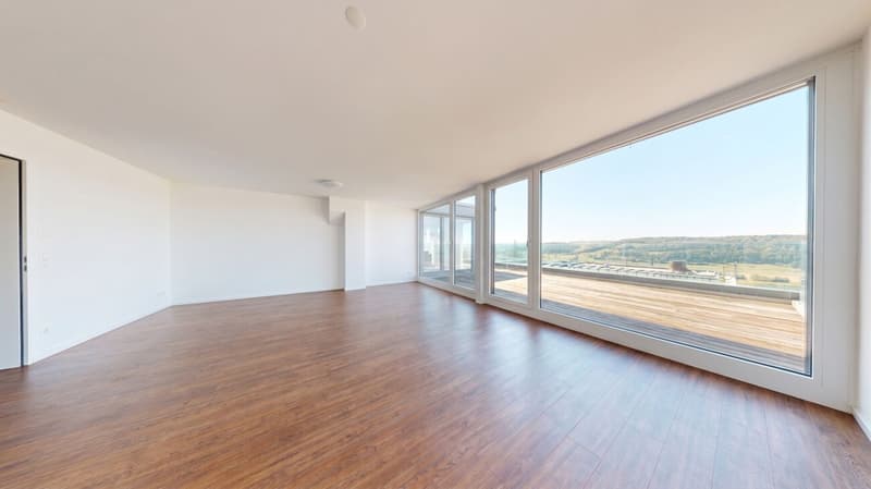 On Top of Wettswil – 252 m² Panorama-Residenz (16)