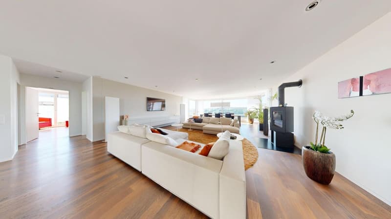 On Top of Wettswil – 252 m² Panorama-Residenz (12)