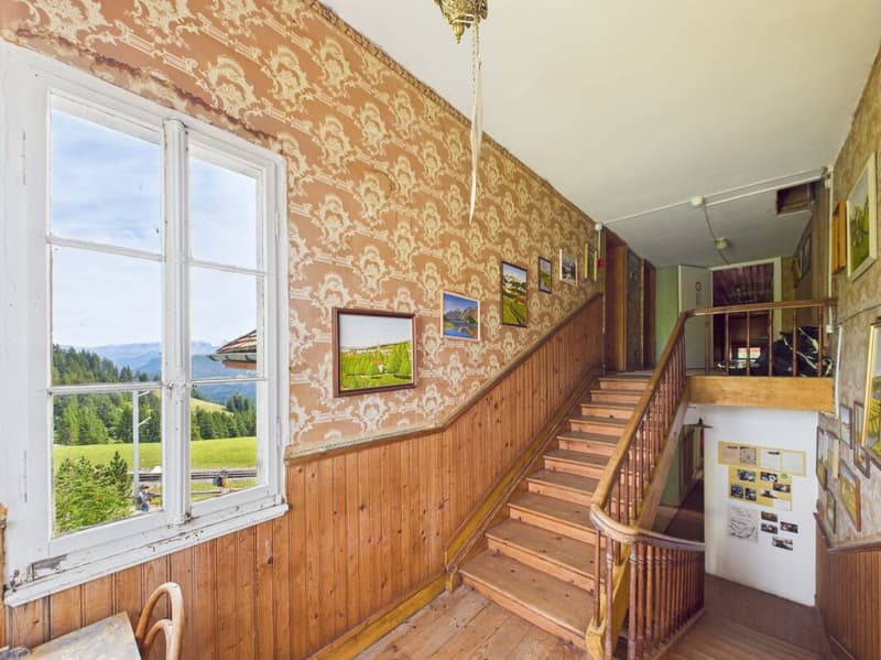 A Swiss Trophy Asset – the Last Free Piece of Mount Rigi (28)