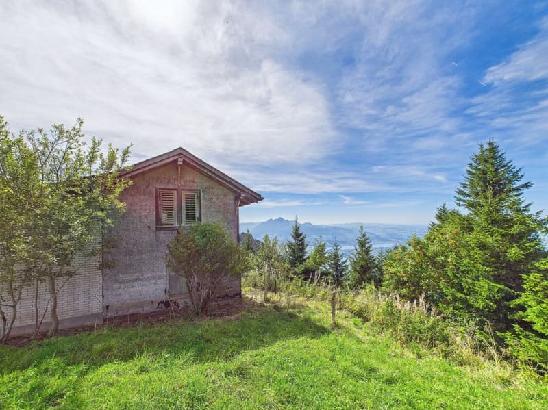 A Swiss Trophy Asset – the Last Free Piece of Mount Rigi (13)