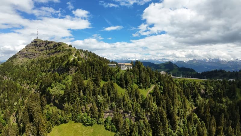 A Swiss Trophy Asset – the Last Free Piece of Mount Rigi (4)