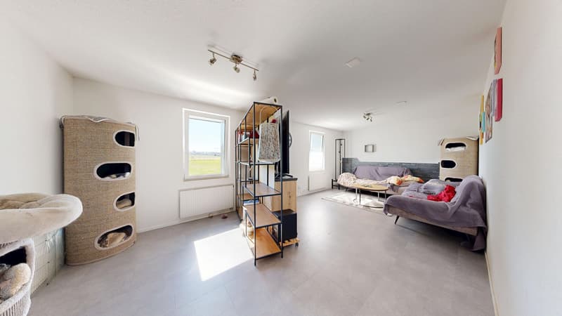 Freistehendes 5.5-Zimmer-Einfamilienhaus mit grossem Garten, Veranda & Weitblick (8)