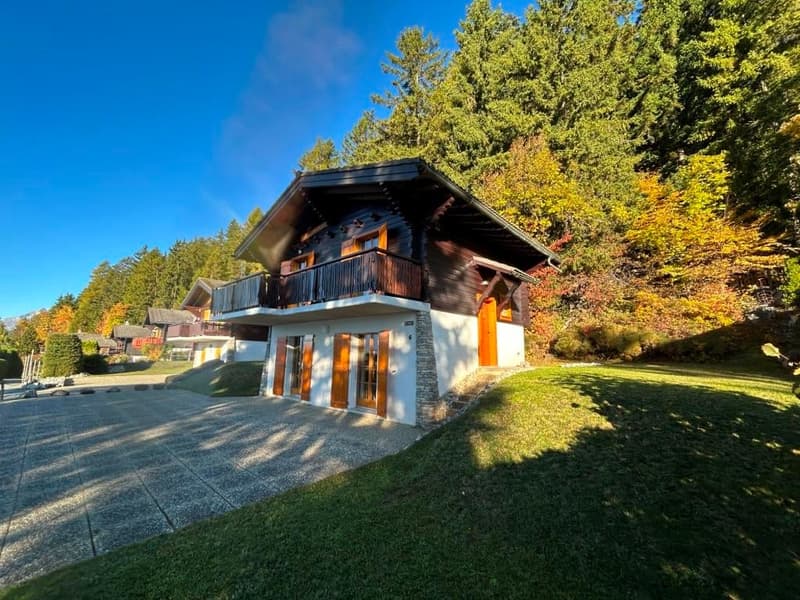 Chalet en madriers à Arbaz avec vue imprenable (11)