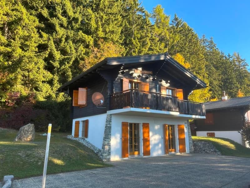 Chalet en madriers à Arbaz avec vue imprenable (1)