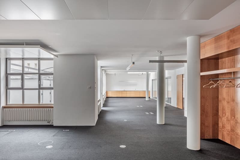 Repräsentatives Büro mit Terrasse - 277 m² im 1. OG an der Fortunagasse, Zürich, mieten (3)