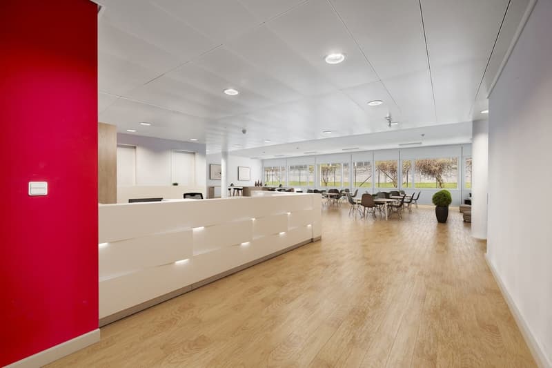 Moderne Bürofläche mit Terrasse in Kloten, auch in zwei Einheiten mietbar (5)