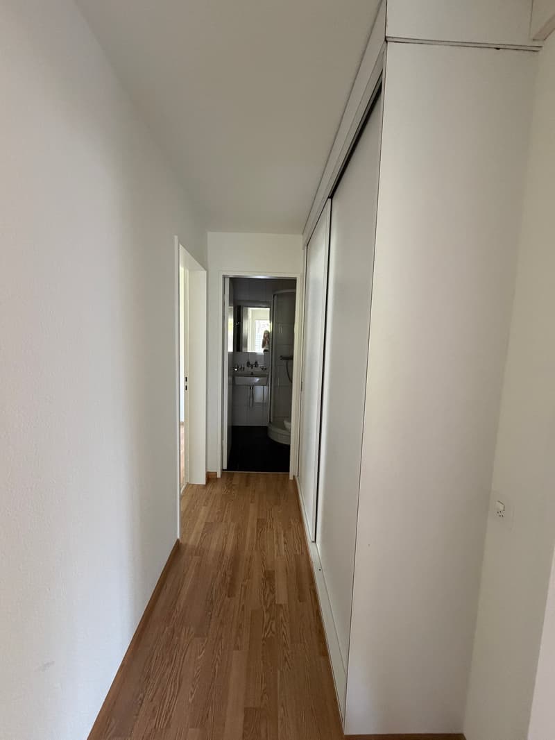 Grosszügige 7.5-Zimmer-Attika-Maisonette-Wohnung mit Balkon und 3 Garagenplätzen (8)