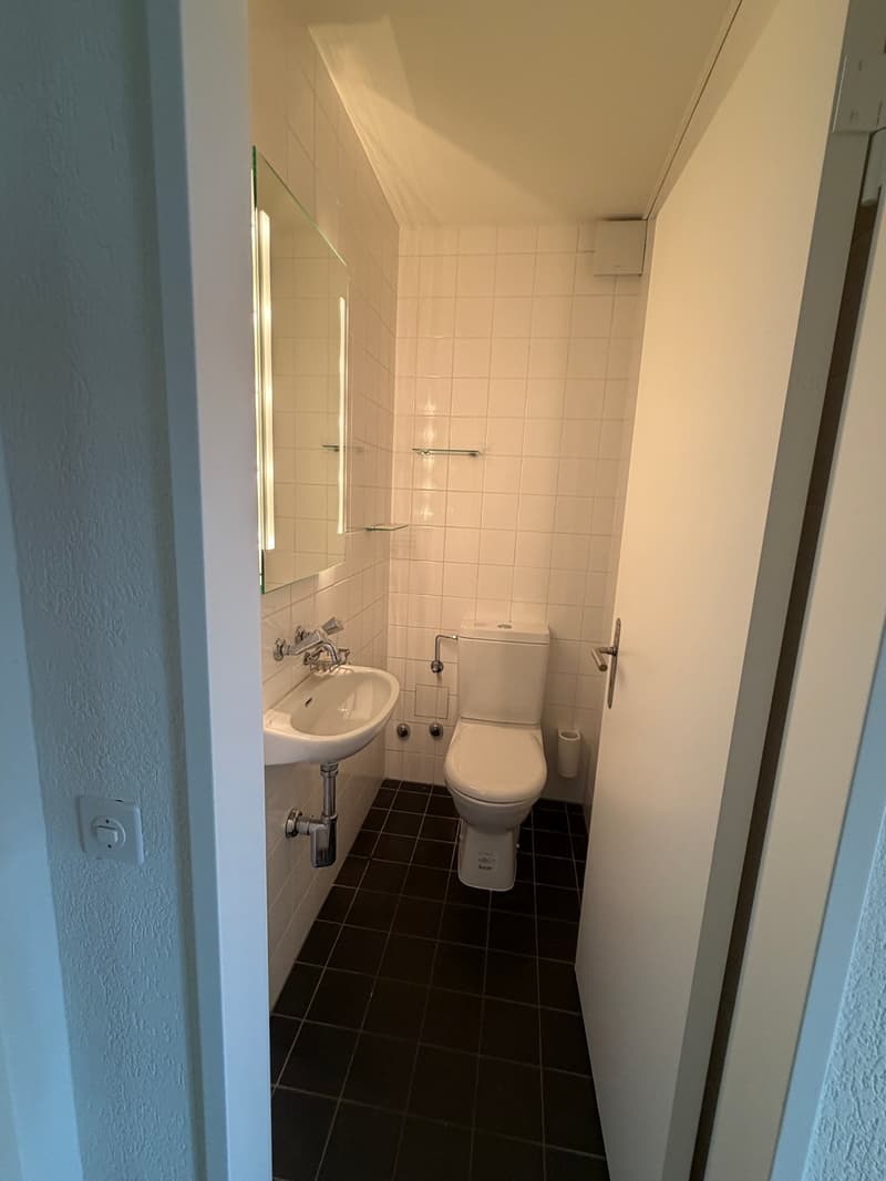 Grosszügige 7.5-Zimmer-Attika-Maisonette-Wohnung mit Balkon und 3 Garagenplätzen (9)