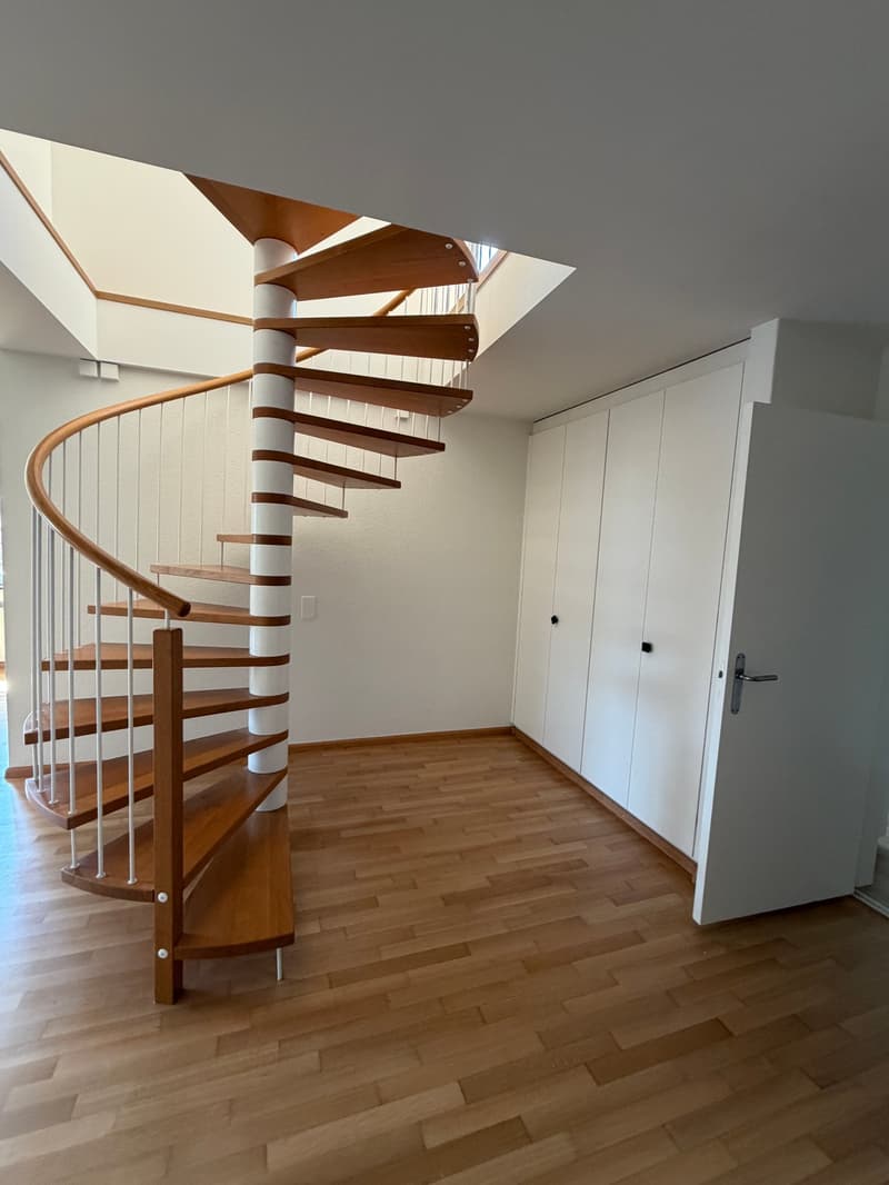 Grosszügige 7.5-Zimmer-Attika-Maisonette-Wohnung mit Balkon und 3 Garagenplätzen (7)